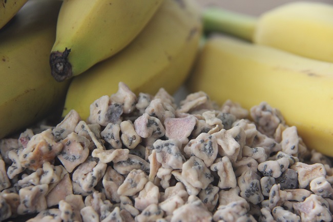 granulado-banana-desidratada-com-chia