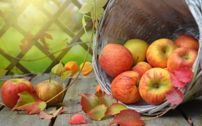 Conheça os benefícios da maçã para a saúde